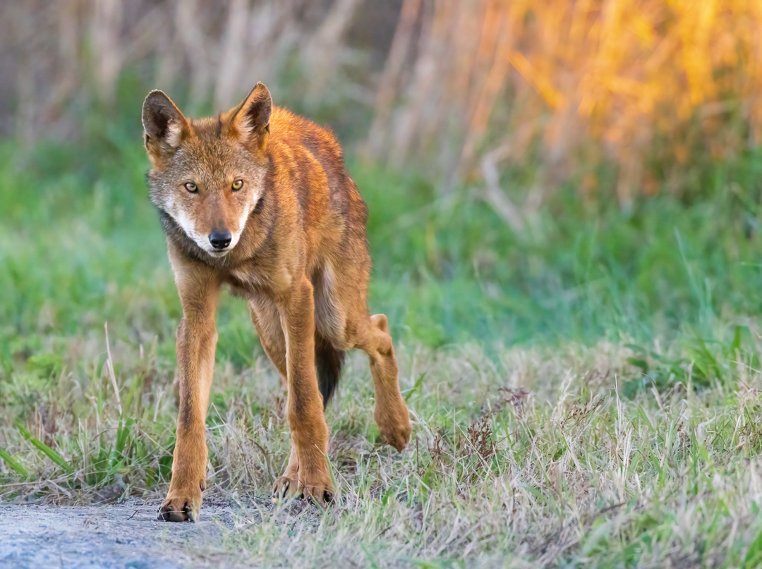 1785806717612-hunter1.jpg